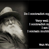 I contain multitudes - Walt Whitman