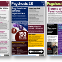 Psychosis 2.0 Infosheet